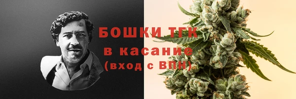 ГАЛЛЮЦИНОГЕННЫЕ ГРИБЫ Алзамай