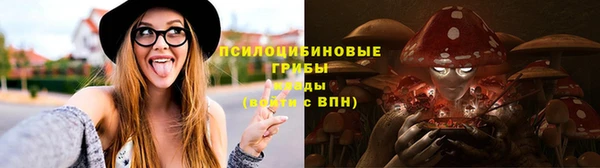 МДПВ Алексин