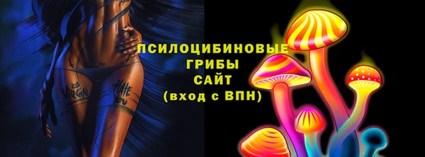 МДПВ Алексин