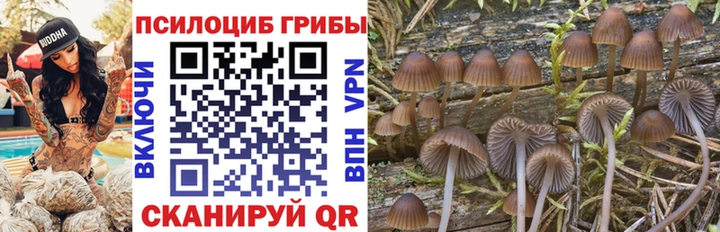 Псилоцибиновые грибы ЛСД  Аргун 