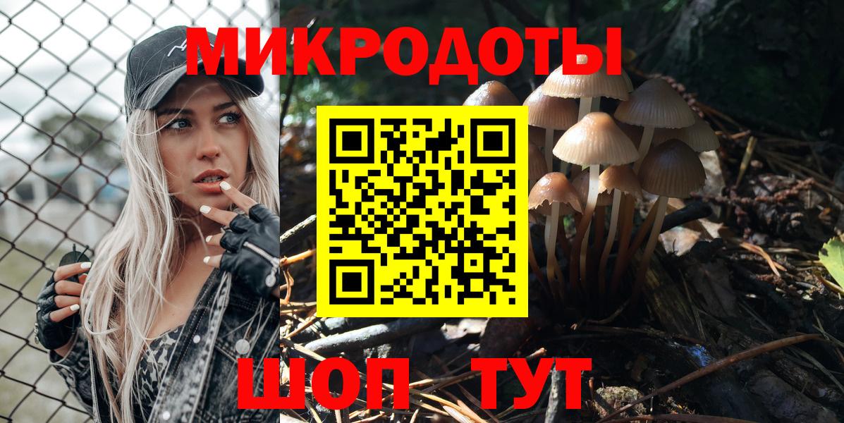Аргун  Галлюциногенные грибы Cubensis  Вход с VPN  Псилоцибиновые грибы Psilocybine cubensis 